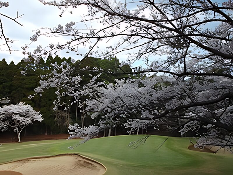Accordia Golf Airport Golf Course Narita