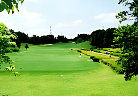 Arrow Ace Golf Club