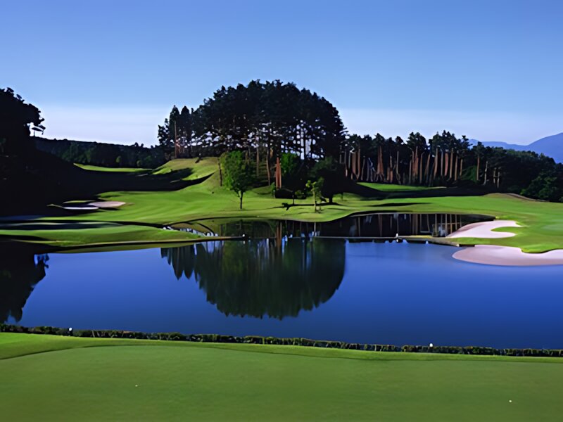 Chateraise Vintage Golf Club