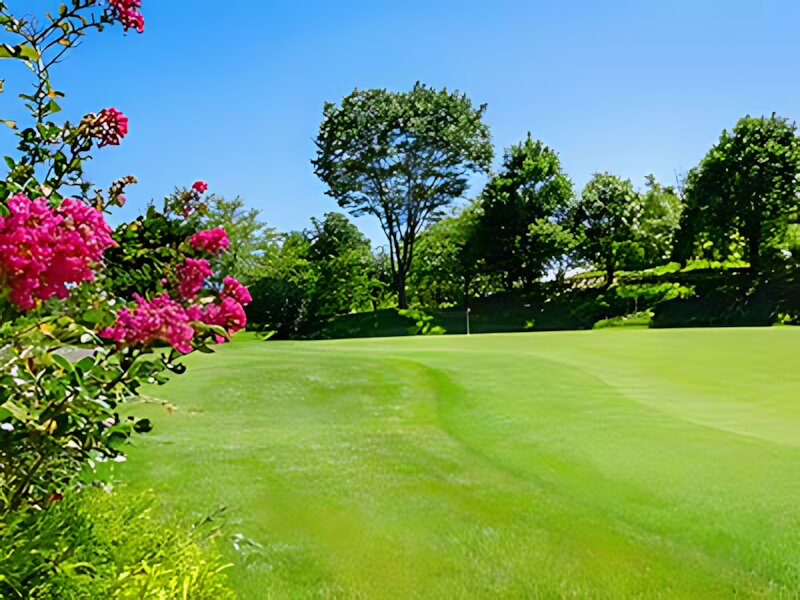 Chiba Birdie Club Jeff Yamaguchi (Chiba)