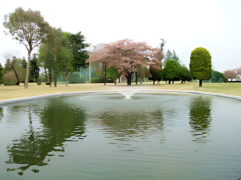 Chiyokawa Short Course