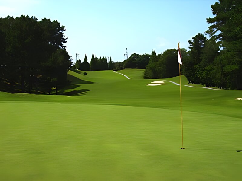 Chubu International Golf Club