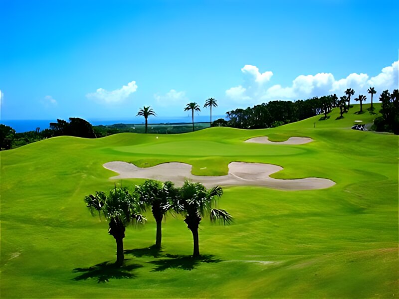 Cosmo Resort Tanegashima Golf Club