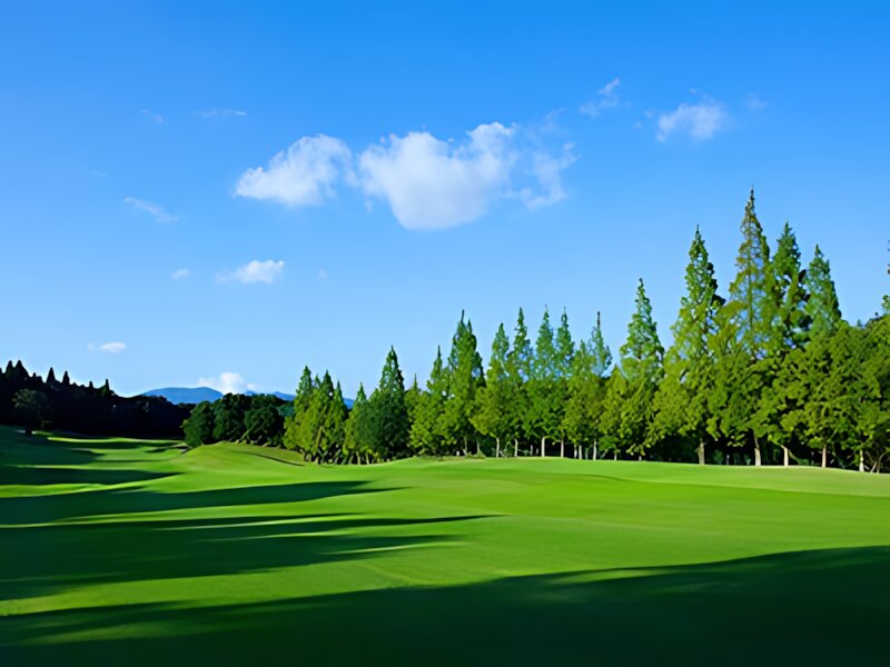 CYKAN Winner's Golf Club