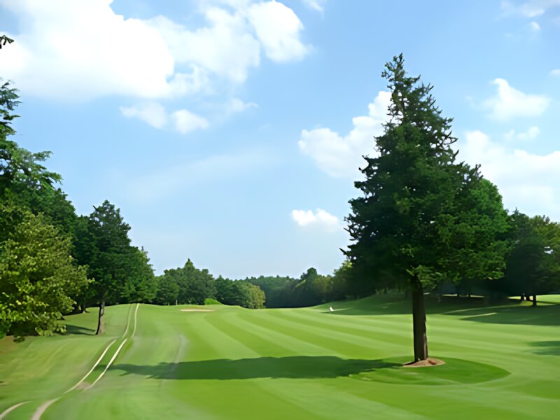 Diamond Green Club