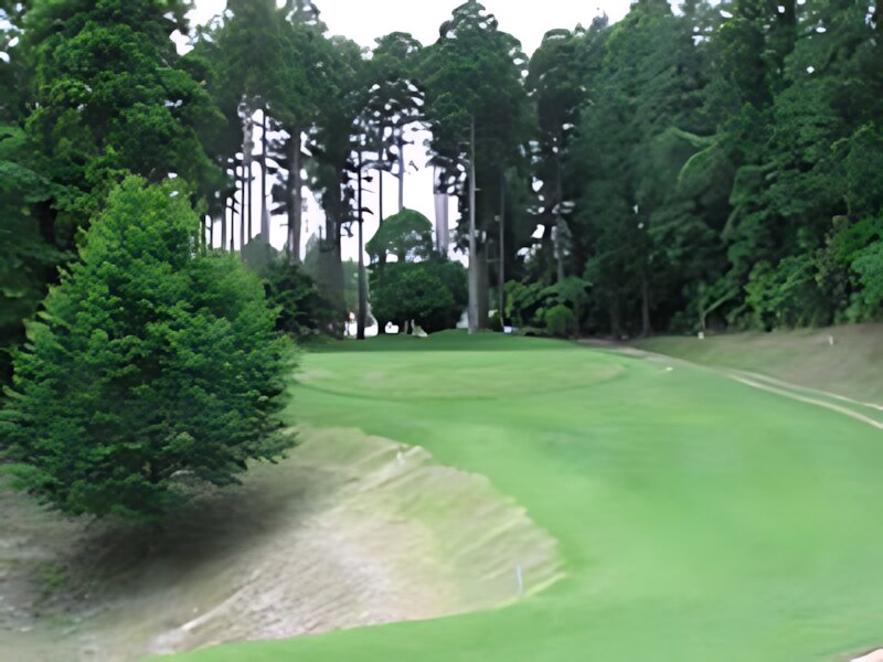 Dynamic Golf Chiba