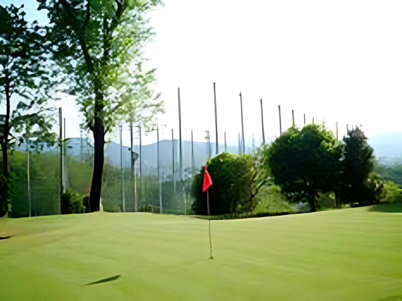 Dynasty Golf
