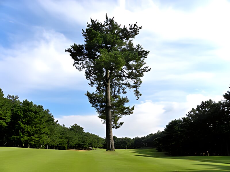 Genkai Golf Club
