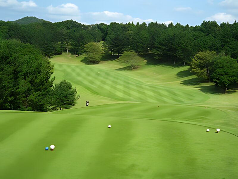 Golf 5 Country Kasama Forest