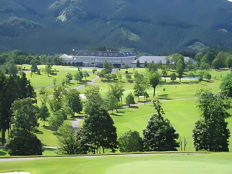 Golf Club Golden Wood