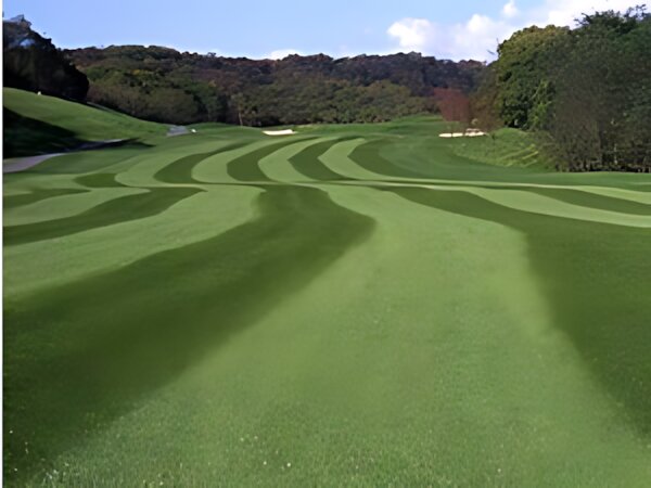 Hokkaido Dream Country Club