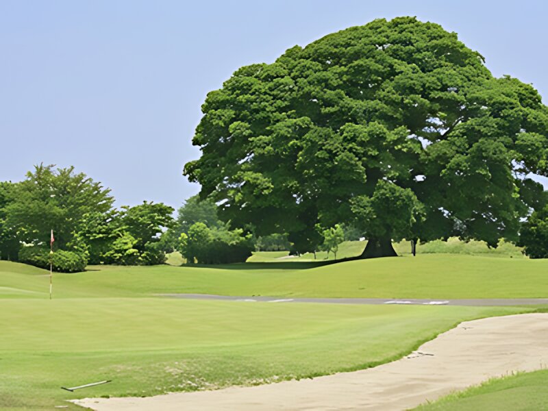 Ichigo Golf Club