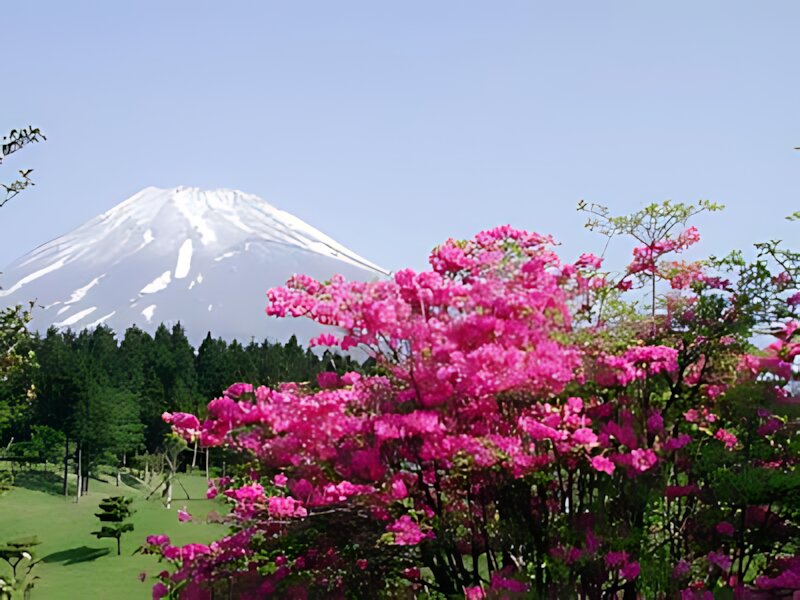 Juurigi Country Club
