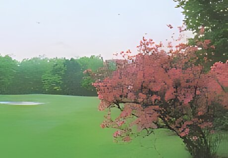 Koyama Golf Club