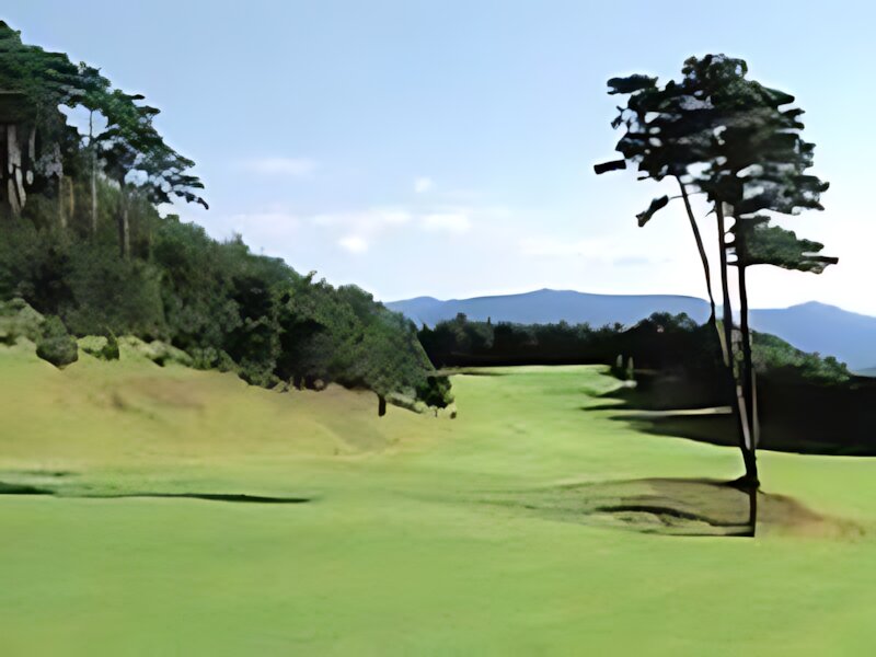 Matsuyama International Golf Club