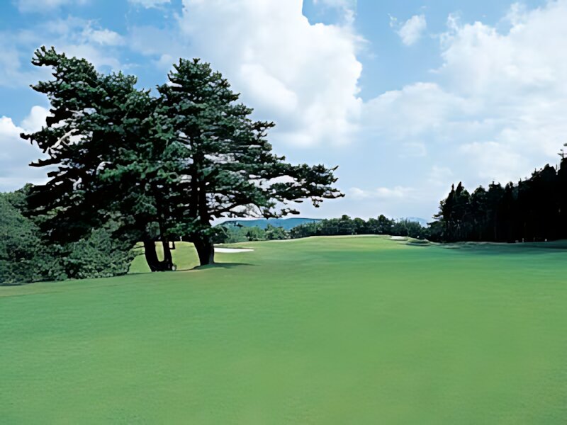Menard Country Club Aoyama Course