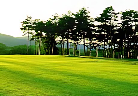 Miyagino Golf Club