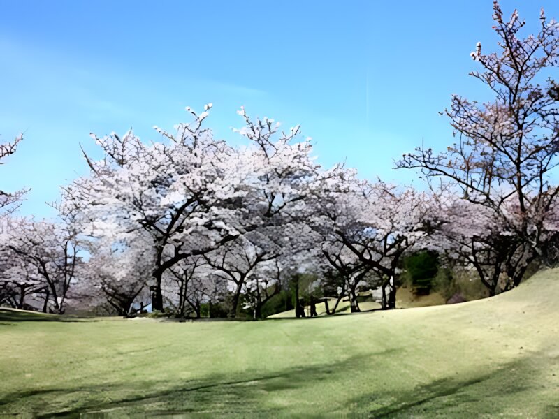 Miyajima Shiwa Country Club