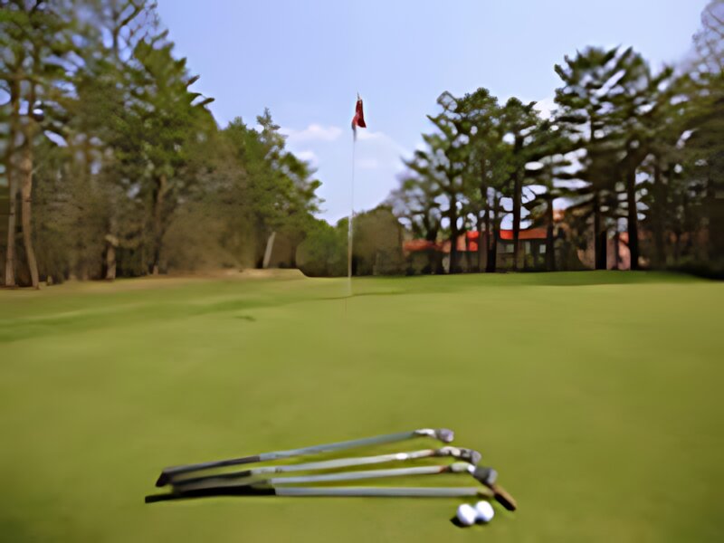 Nakazawa Village Forest Golf Course