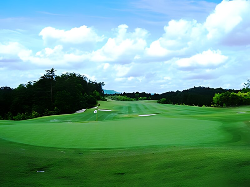 New Capital Golf Club