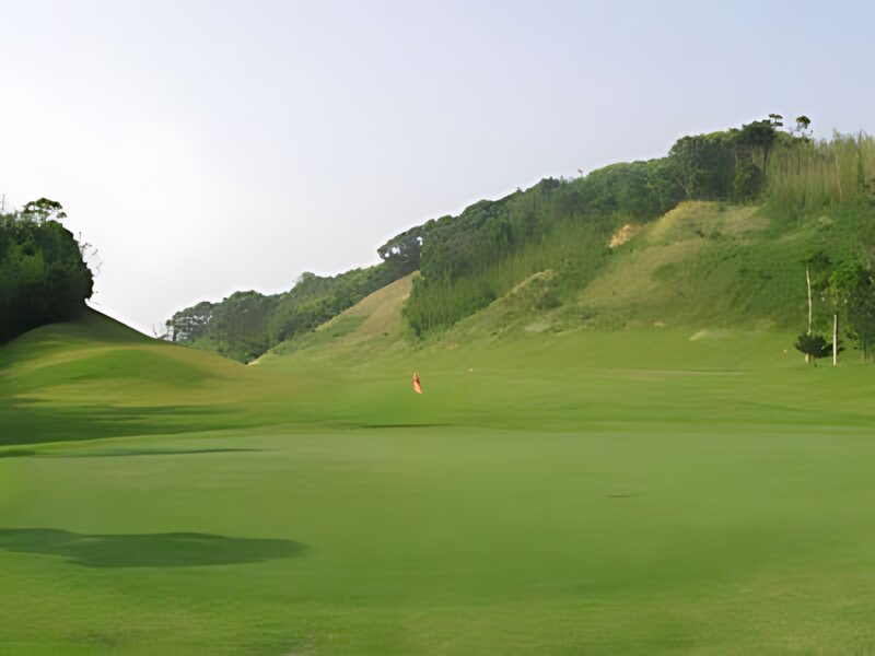 New You Ai Golf Club