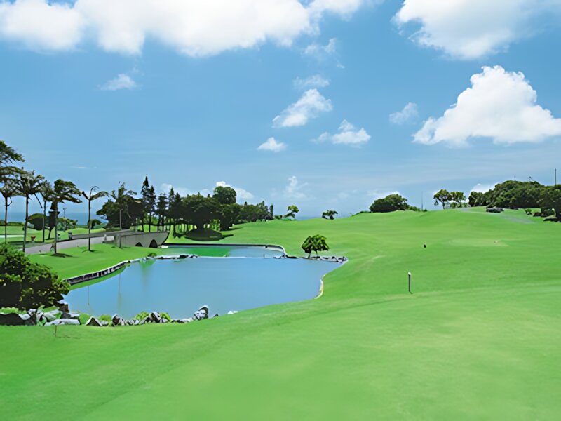 Palm Hills Golf Resort Club