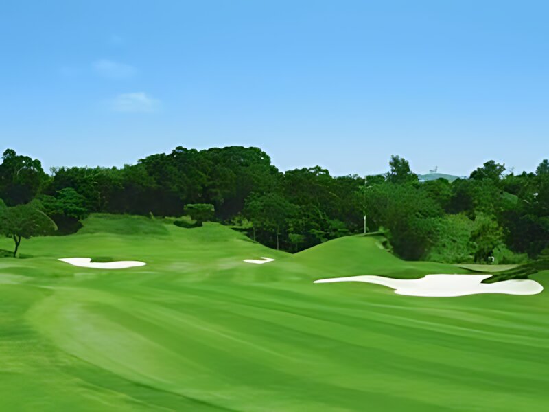 Queens Trap Golf Course