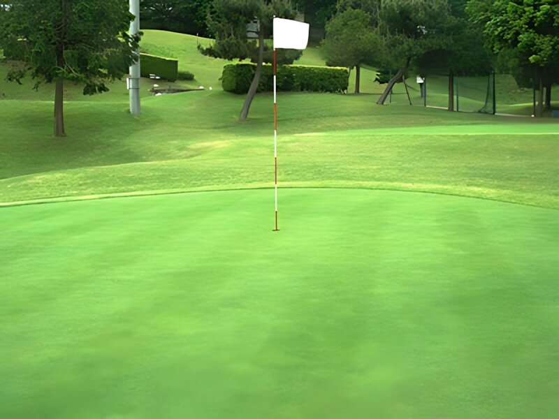 Rise Short Golf Course