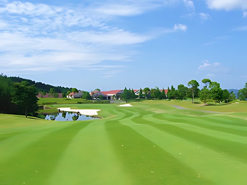 Route 25 Golf Club