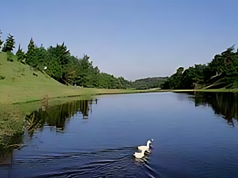 Sakai Country Club