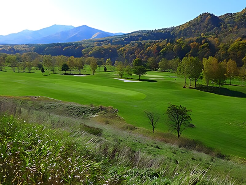 Sorachi River Lavender Forest Golf Course