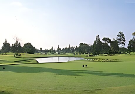 The Royal Golf Club