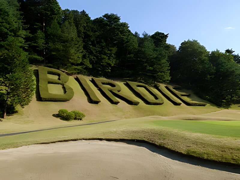 Tokyo Birdie Club
