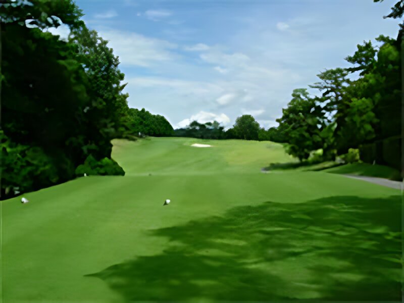 Toyota Country Club