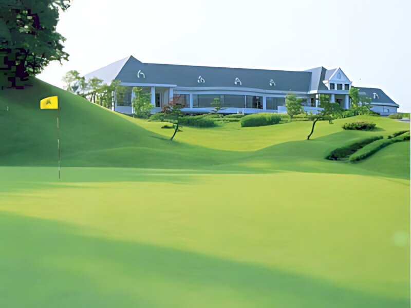 Turtle Ace Golf Club
