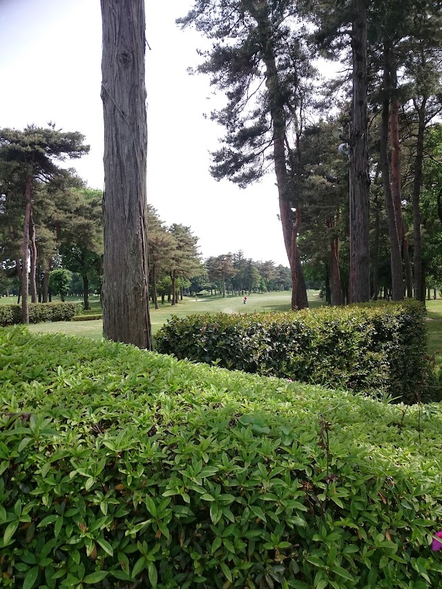 ３１カントリークラブ - Photo 4