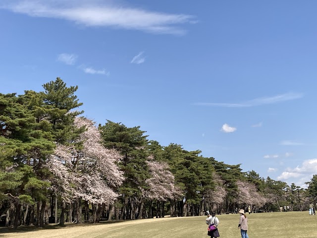 我孫子ゴルフ倶楽部 - Photo 5
