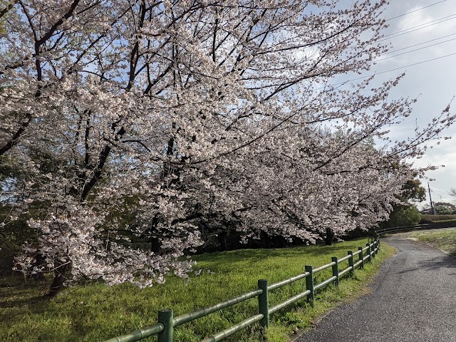 愛知カンツリー倶楽部 - Photo 8