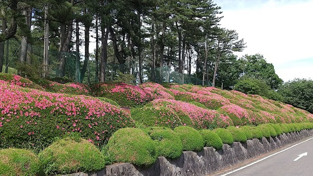 赤城国際カントリークラブ - Photo 5