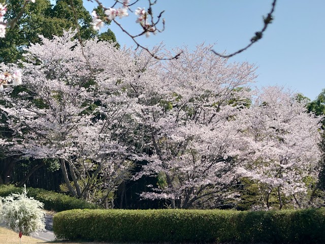 赤坂カントリークラブ - Photo 2
