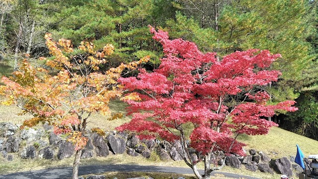 阿騎野ゴルフ倶楽部 - Photo 5