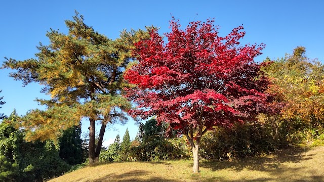秋田太平山カントリークラブ - Photo 7