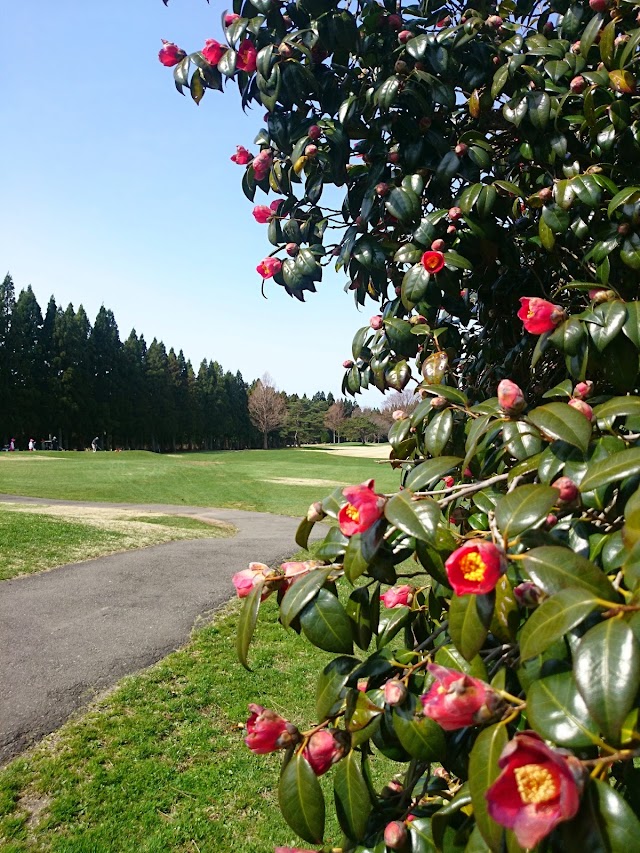 秋田椿台カントリークラブ - Photo 6