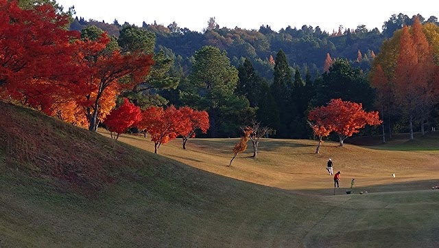 赤穂国際カントリークラブ - Photo 6