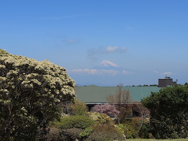 天城高原ゴルフコース - Photo 4