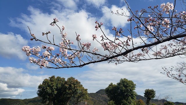 阿南カントリークラブ - Photo 4