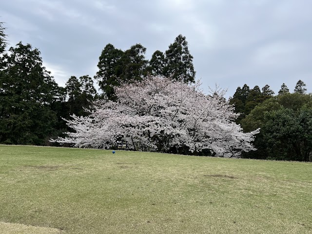 姉ヶ崎カントリー倶楽部 - Photo 5