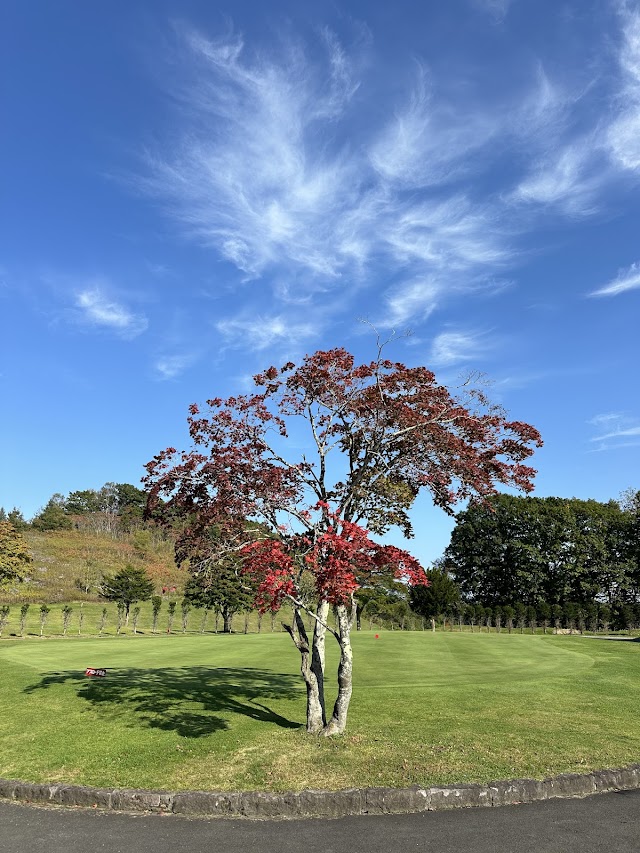 安平ゴルフ倶楽部 - Photo 7