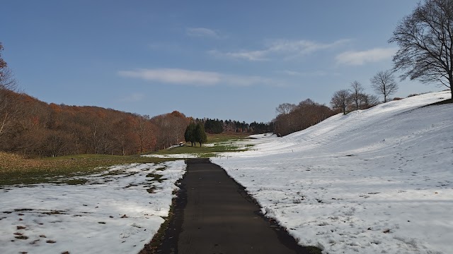 安平ゴルフ倶楽部 - Photo 8