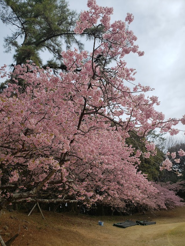 葵カントリークラブ - Photo 2